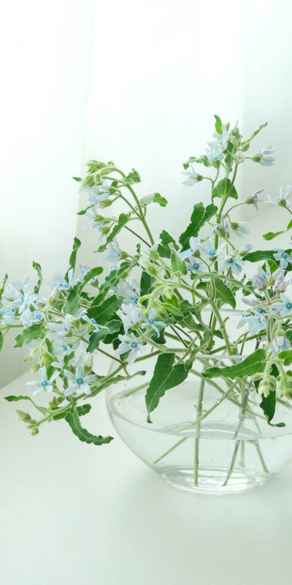 初回のカウンセリング・スーパービジョン